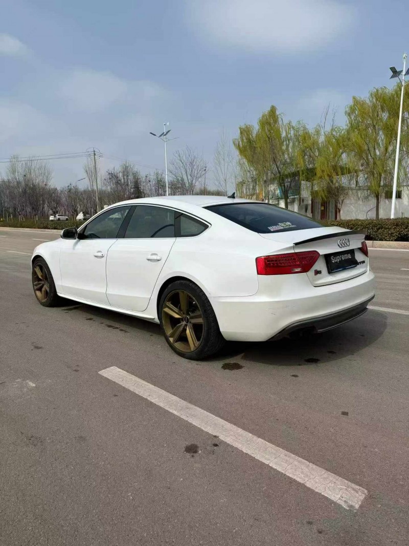 潍坊14年奥迪S58