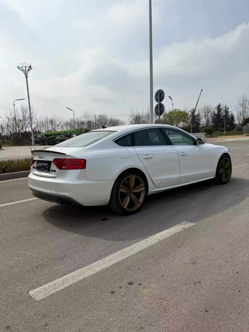 潍坊14年奥迪S59