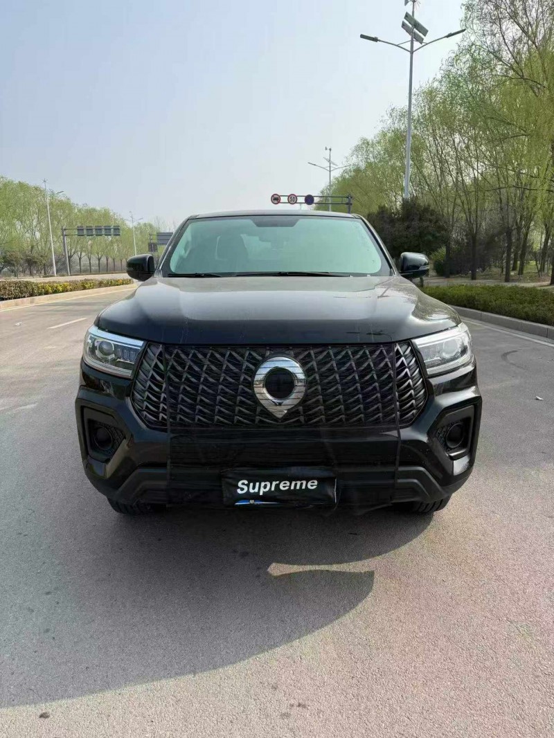 棗莊24年長城汽車炮 皮卡1