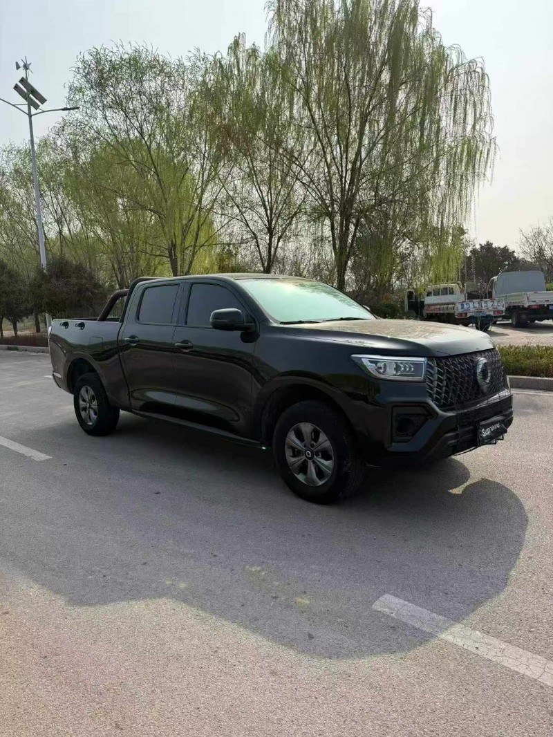 棗莊24年長城汽車炮 皮卡2