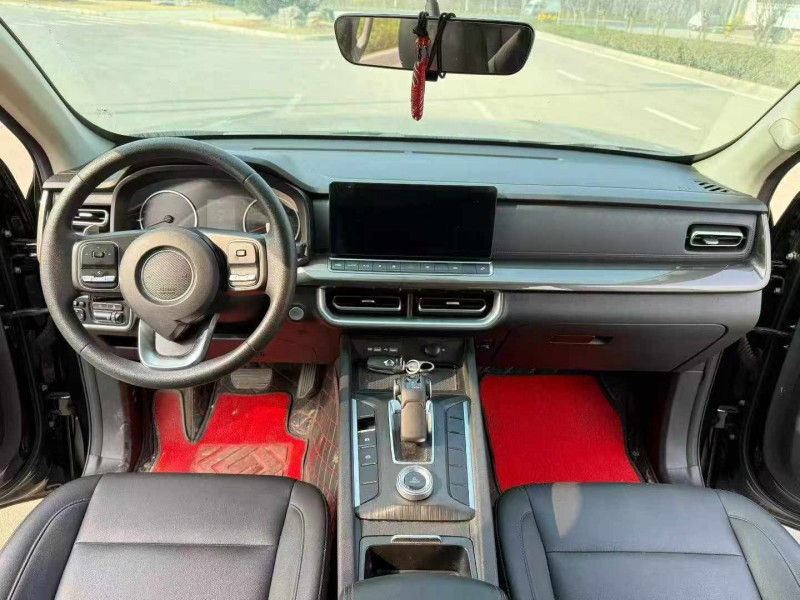 棗莊24年長城汽車炮 皮卡6