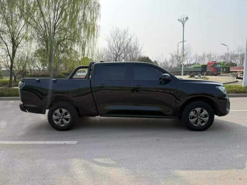 棗莊24年長城汽車炮 皮卡8