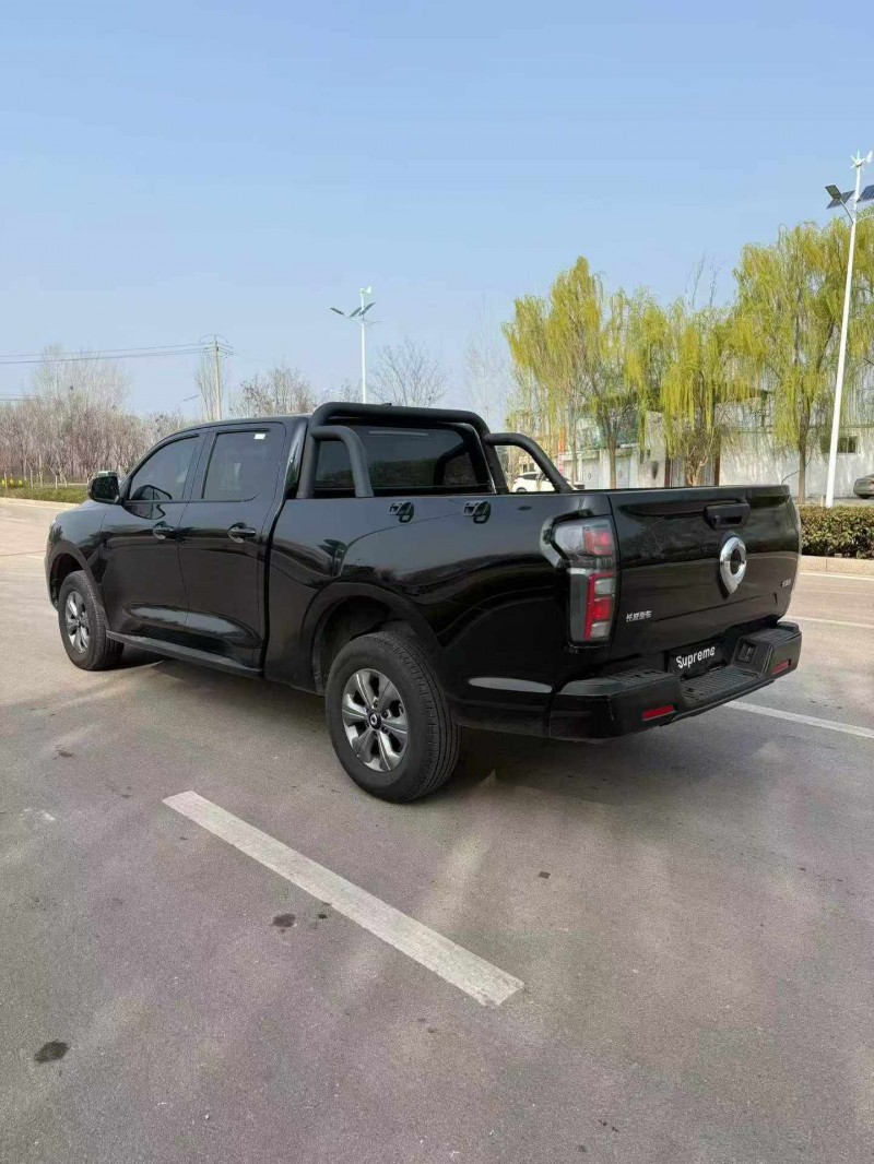 棗莊24年長城汽車炮 皮卡9