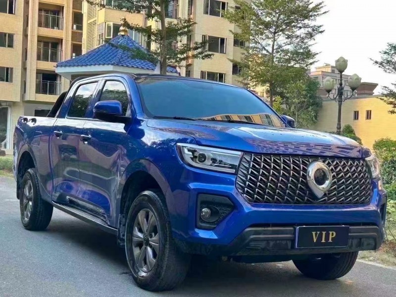 东莞25年长城汽车炮 皮卡6