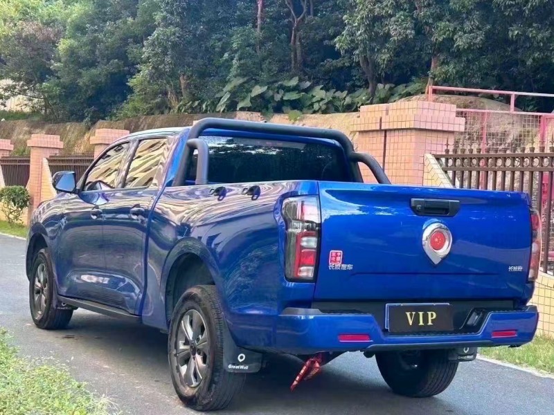 东莞25年长城汽车炮 皮卡9