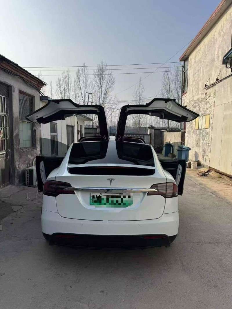 潍坊18年特斯拉MODEL X9