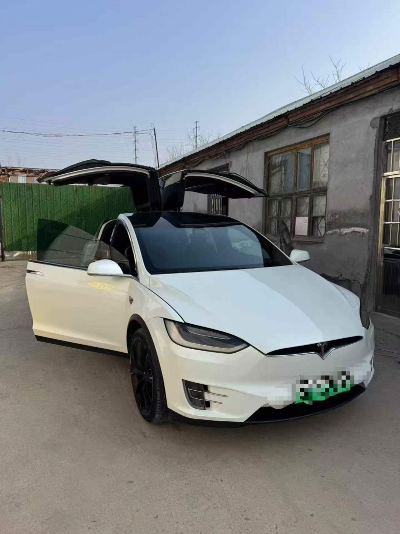 潍坊18年特斯拉MODEL X1