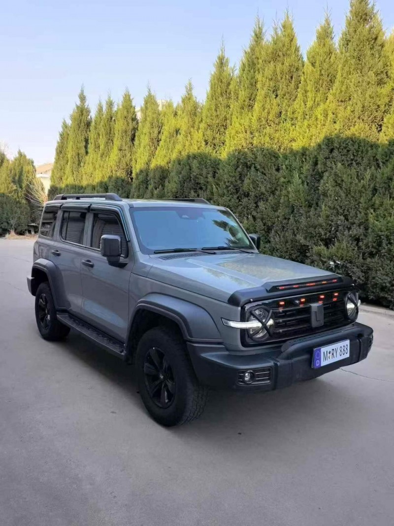 东营22年长城汽车坦克2