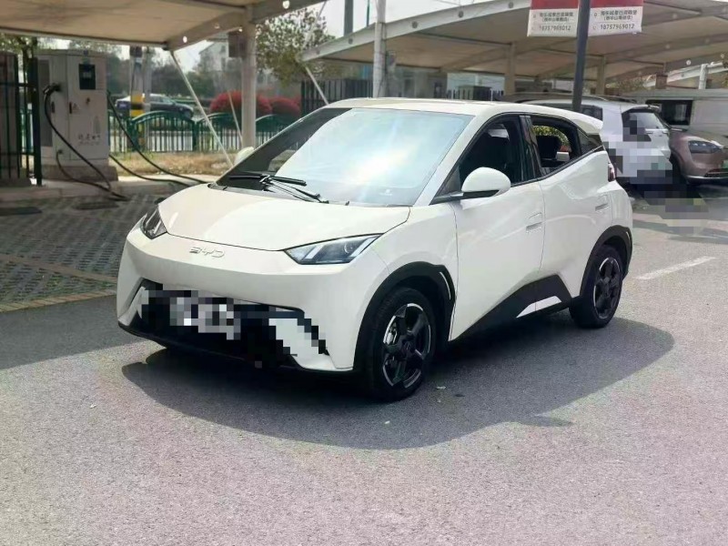 金华24年比亚迪海鸥1