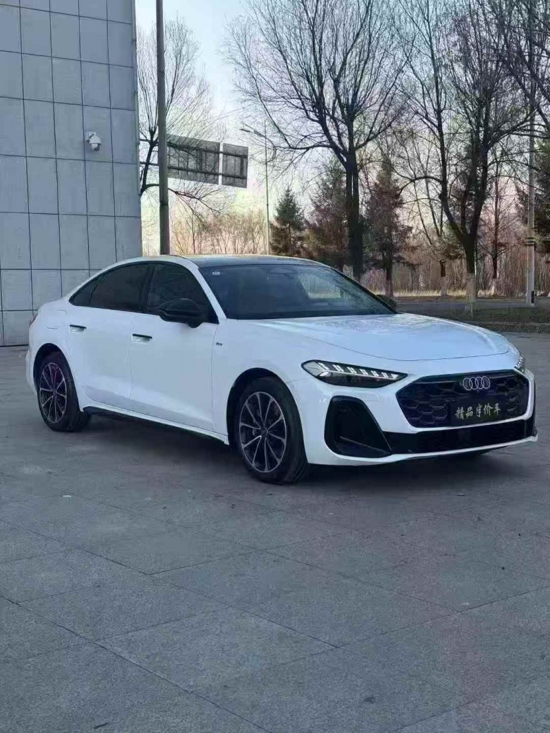 吉林25年奧迪A54