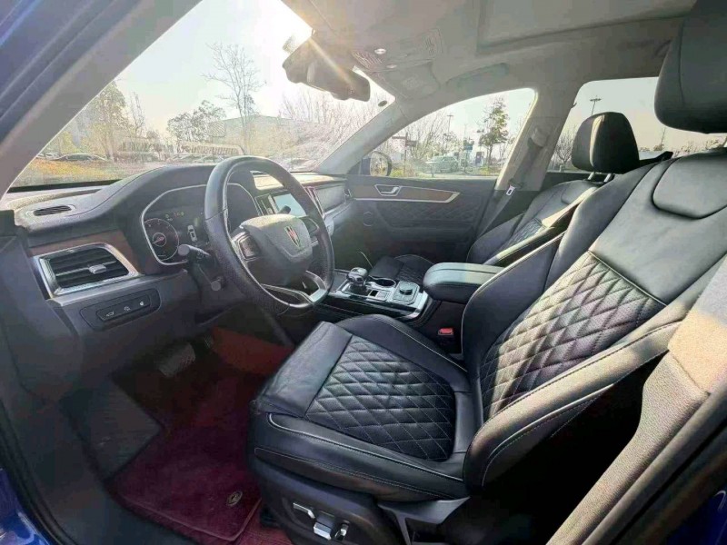 昭通20年紅旗HS74