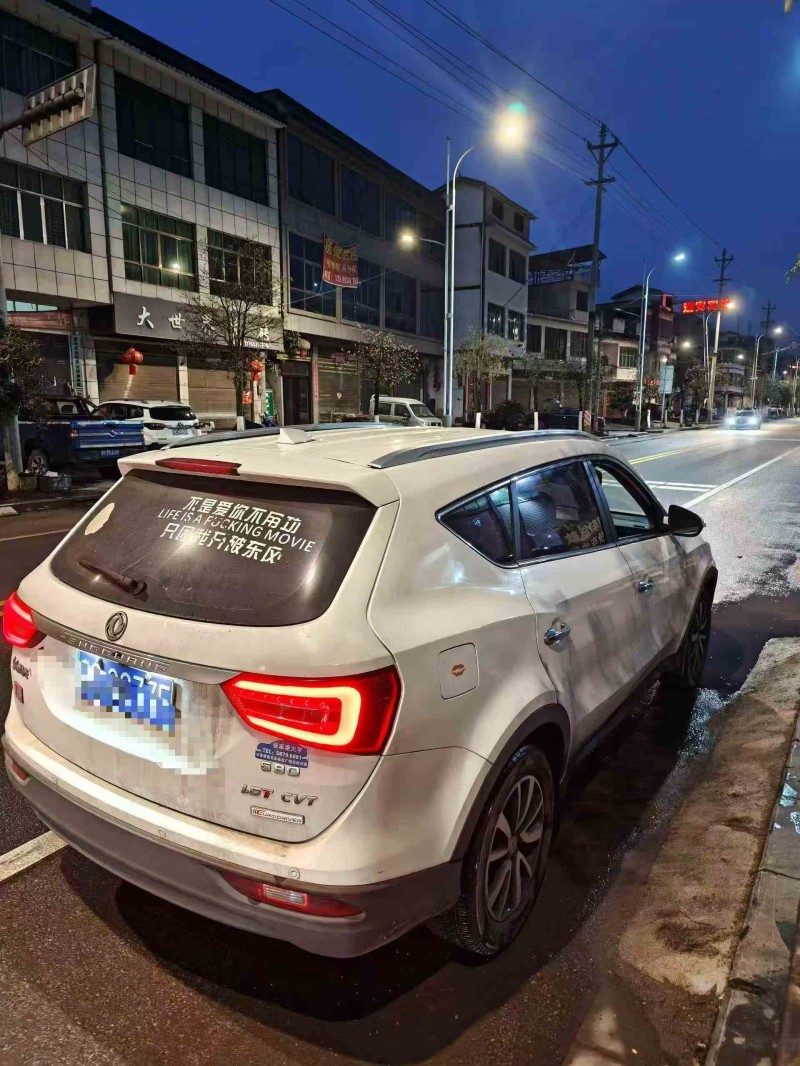 安顺18年东风风光8