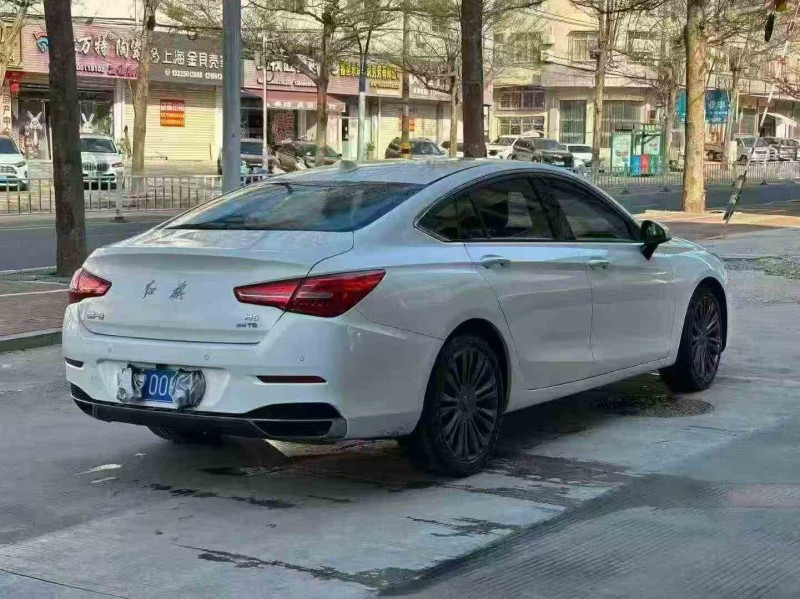 南平21年红旗H58