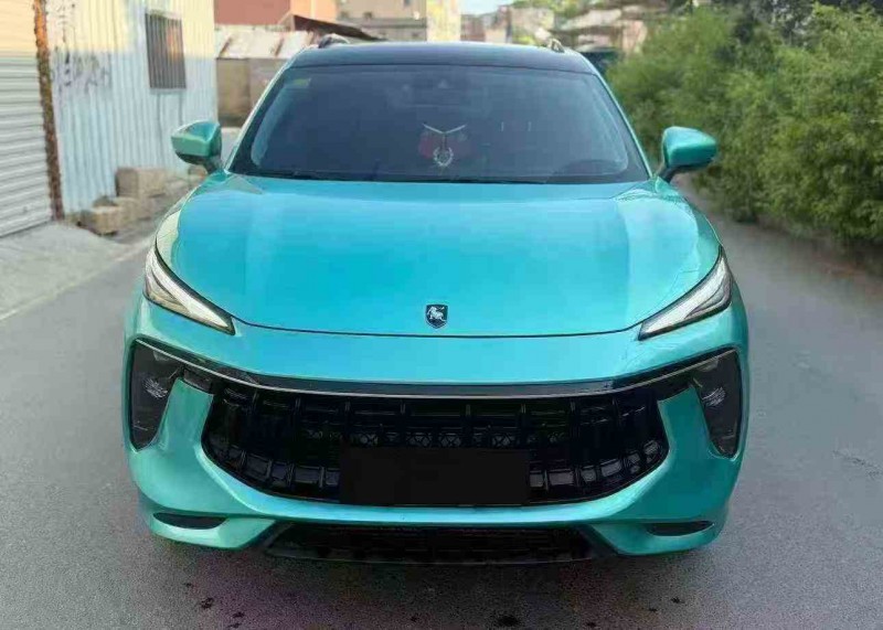 南平21年東風風神1