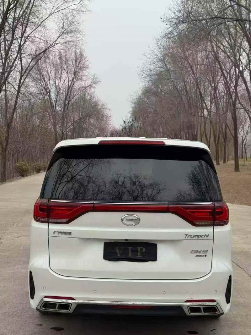 阳泉20年传祺M8/GM87
