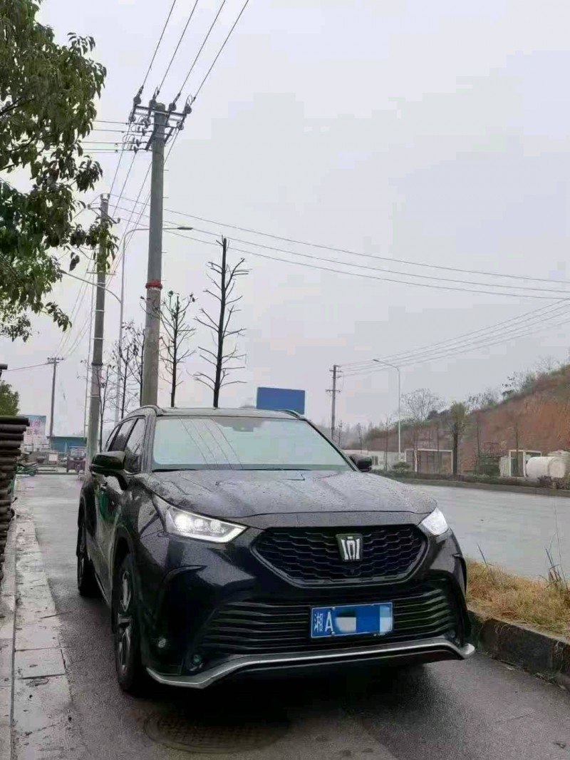 衡阳24年丰田锐放2