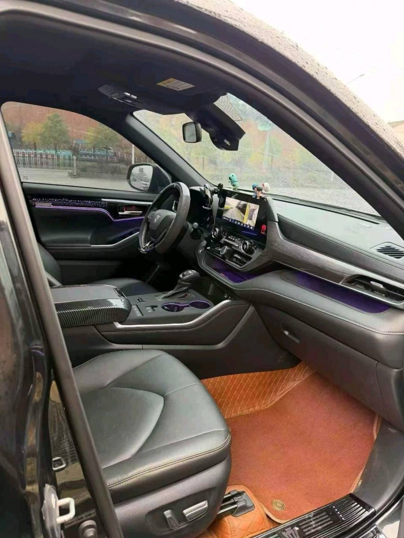 衡阳24年丰田锐放3