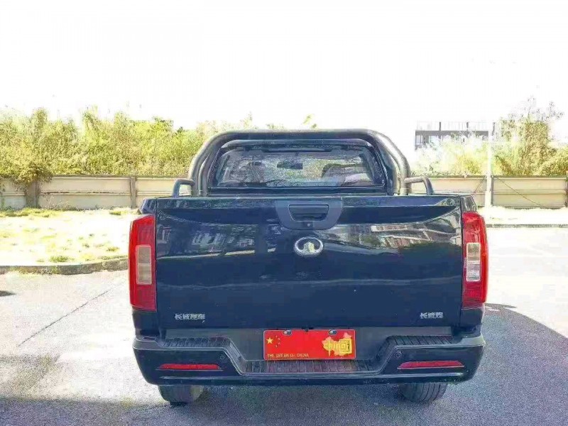 廣州21年長城汽車炮 皮卡9