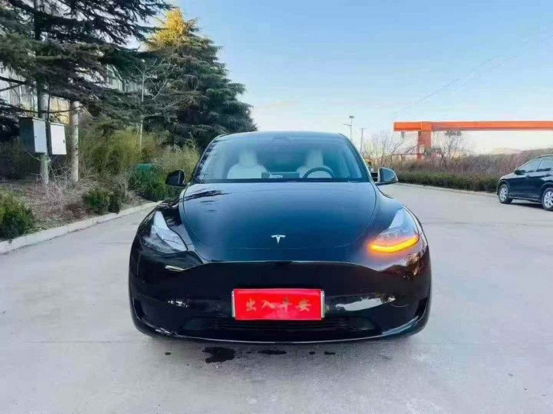 煙臺22年特斯拉MODEL Y1
