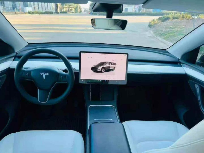 煙臺22年特斯拉MODEL Y4
