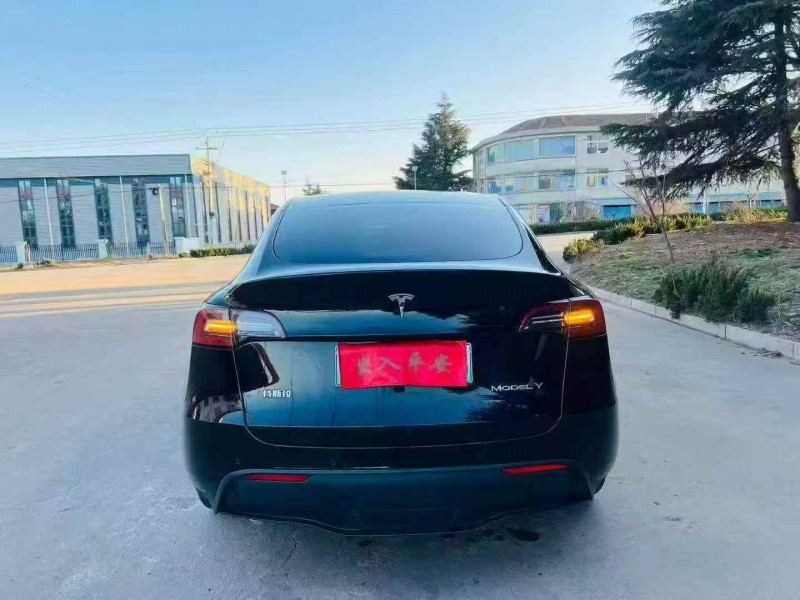 煙臺22年特斯拉MODEL Y9