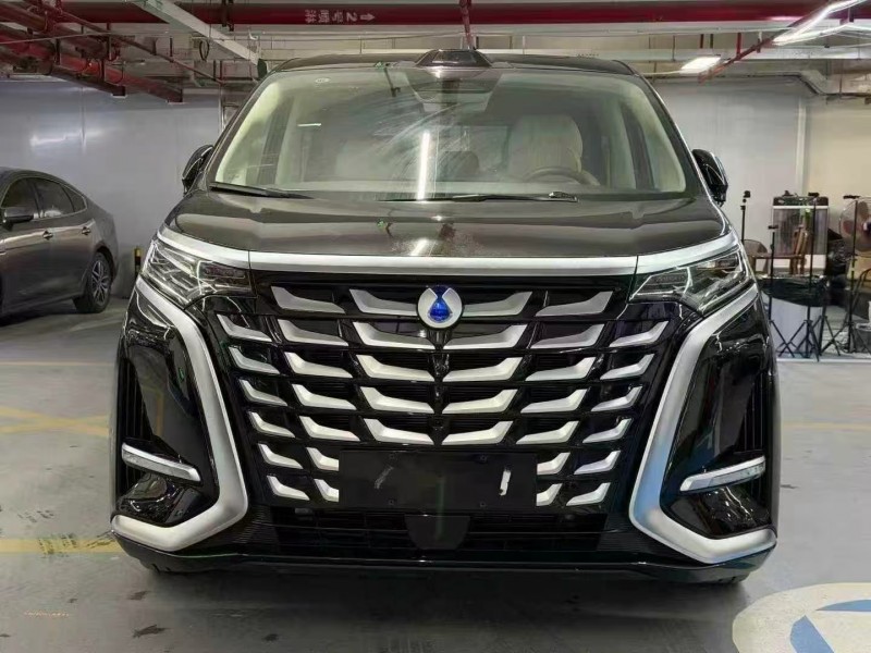 廣州25年騰勢D91