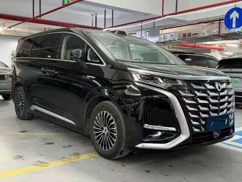 廣州25年騰勢D92