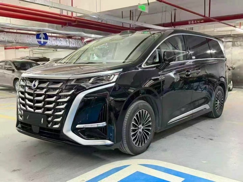 廣州25年騰勢D93