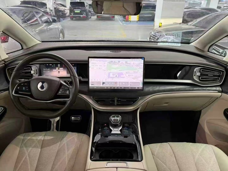 廣州25年騰勢D95