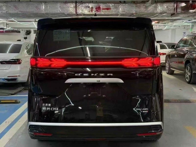 廣州25年騰勢D99