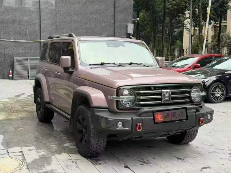 重庆23年长城汽车坦克2