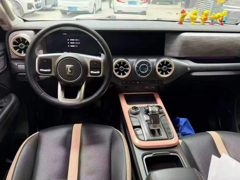 重庆23年长城汽车坦克5