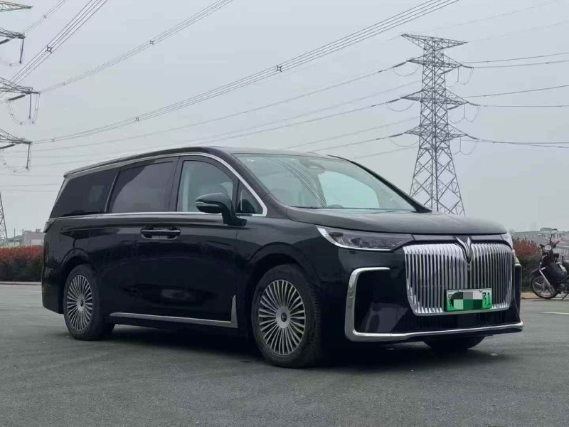 宜昌25年嵐圖汽車夢想家3