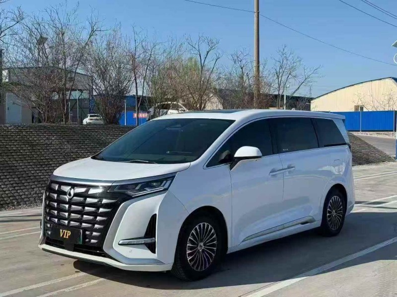 淄博22年腾势D92