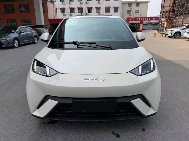 臨沂24年比亞迪海鷗1