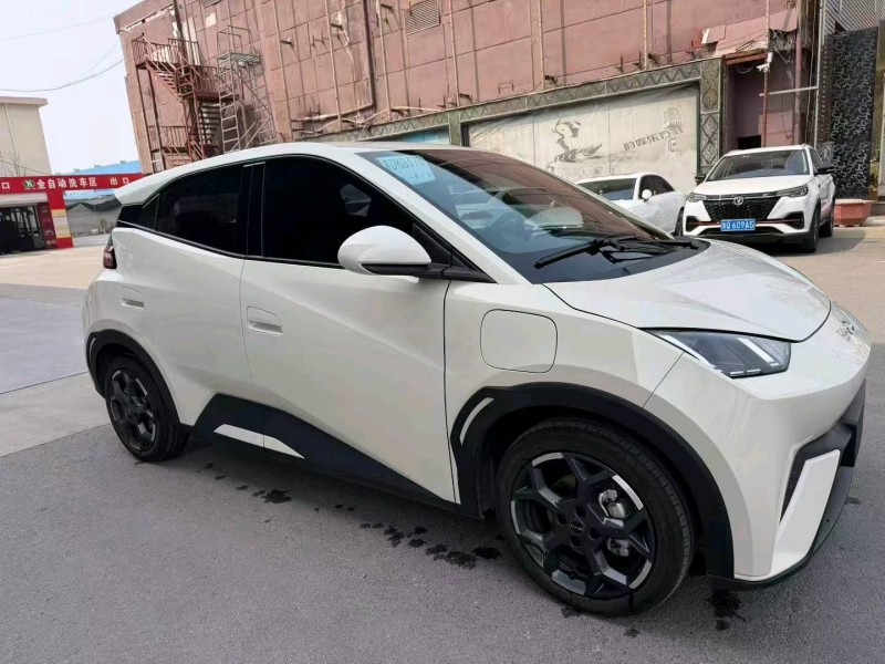 臨沂24年比亞迪海鷗3