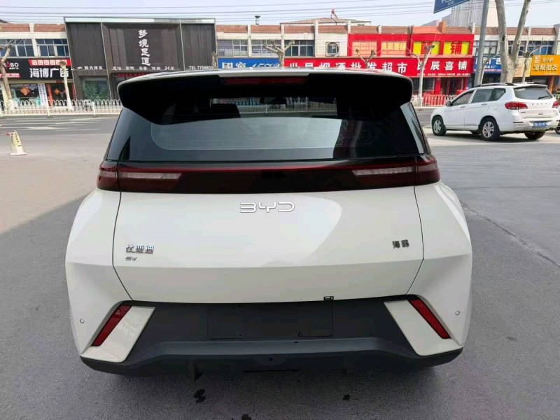 臨沂24年比亞迪海鷗8