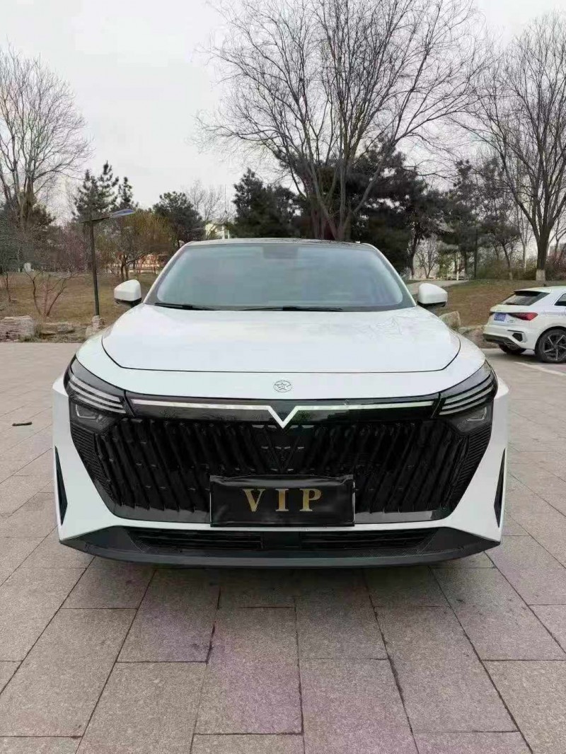 邢台23年启辰大V1