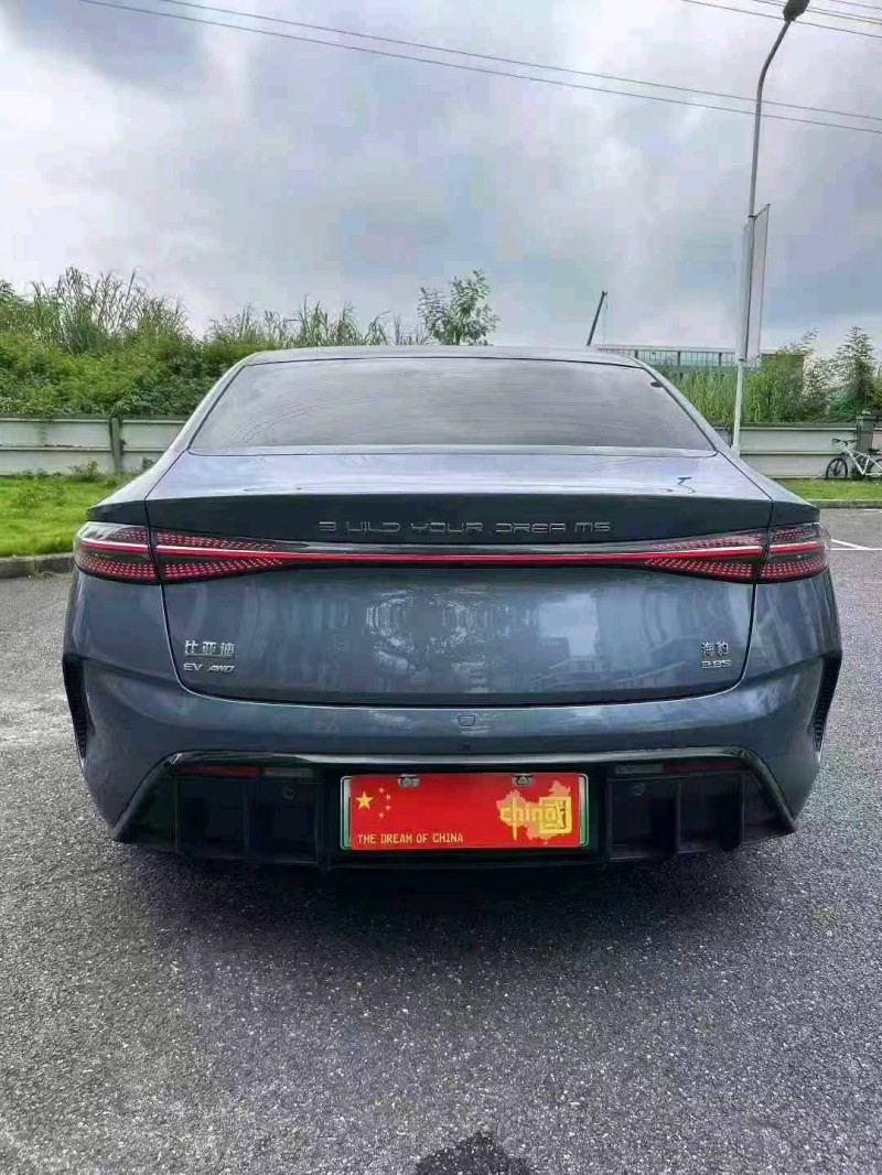 广州22年比亚迪海豹8