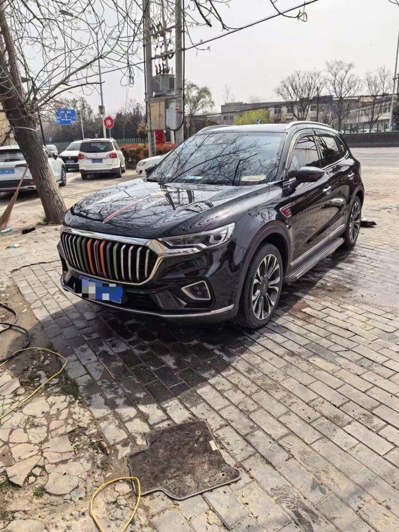 亳州20年红旗HS52