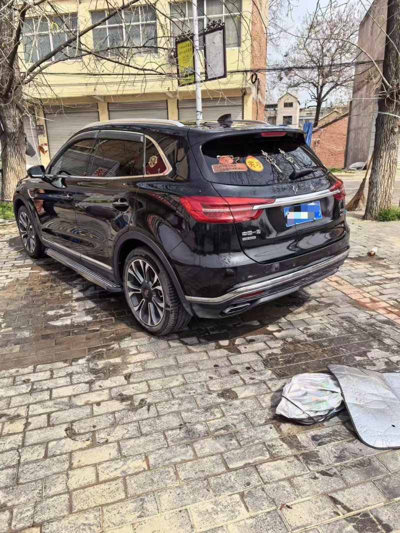 亳州20年红旗HS58