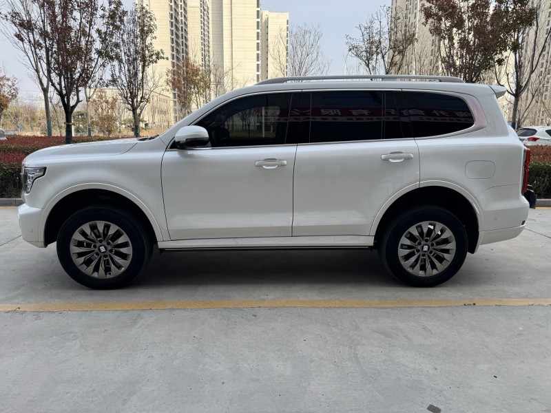 濟寧23年長城汽車坦克6