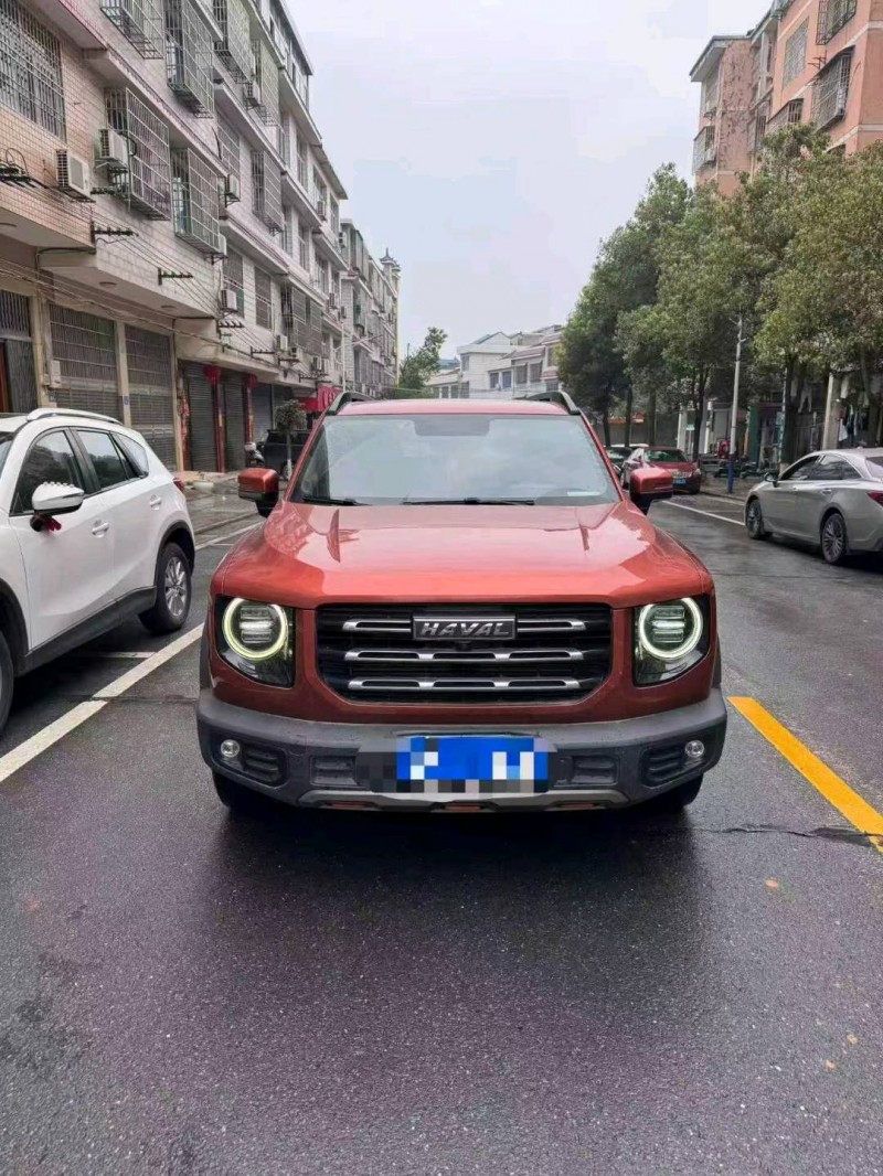 長沙21年哈弗大狗1