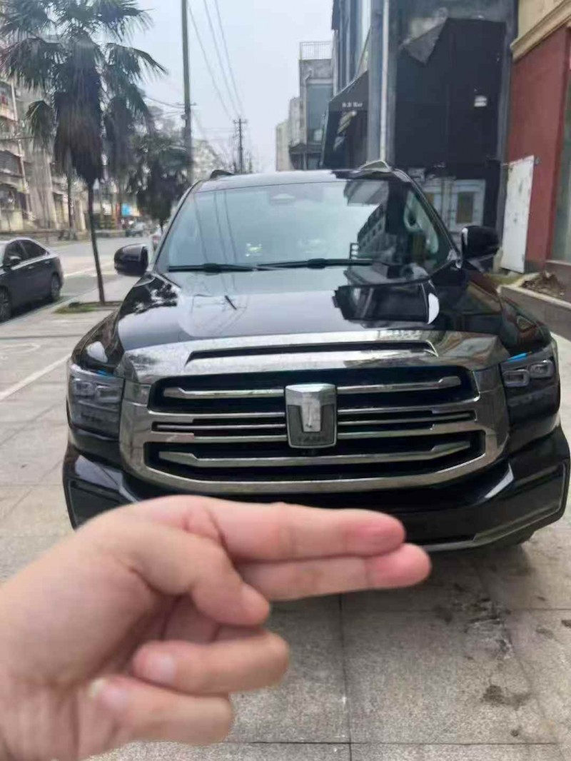 宜昌22年長城汽車坦克1