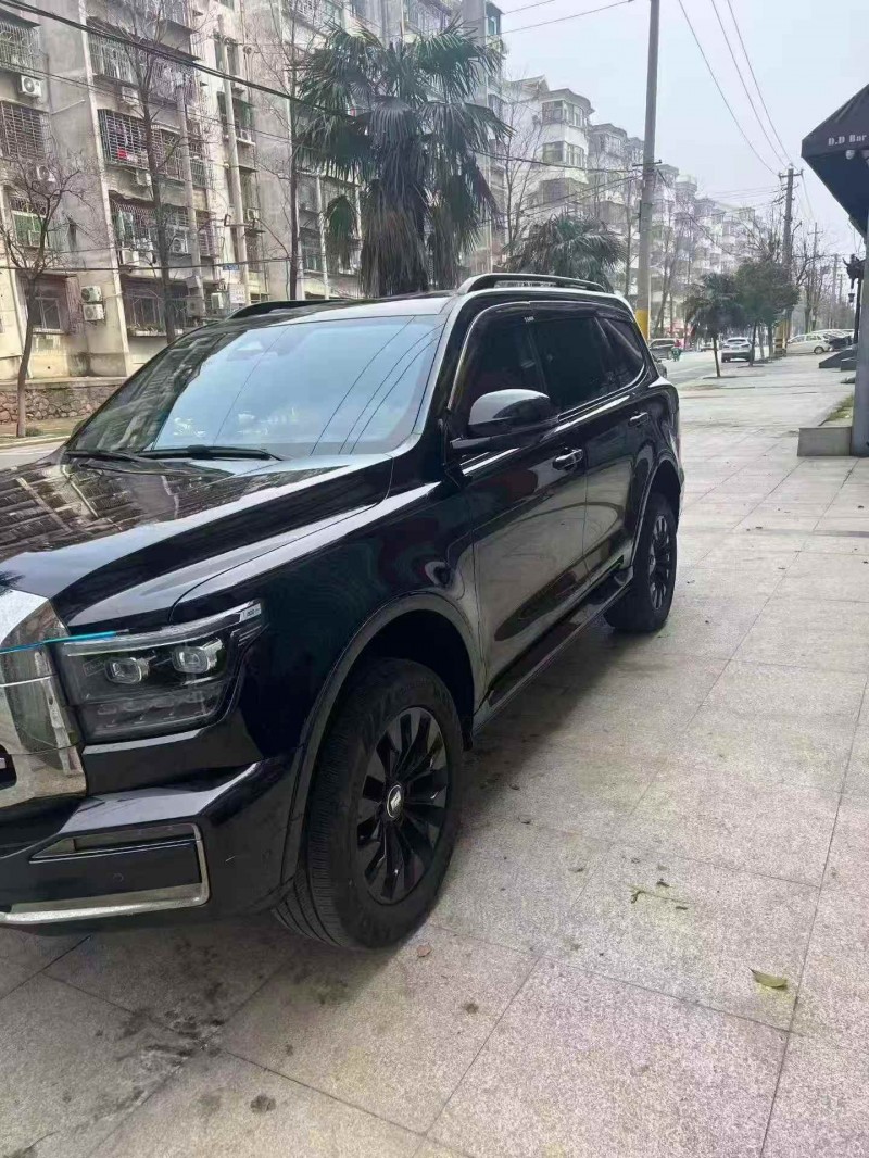 宜昌22年長城汽車坦克3