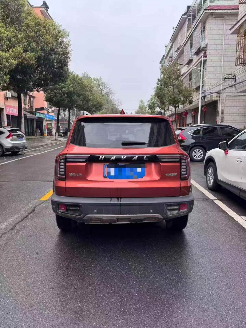 湘潭21年哈弗大狗9