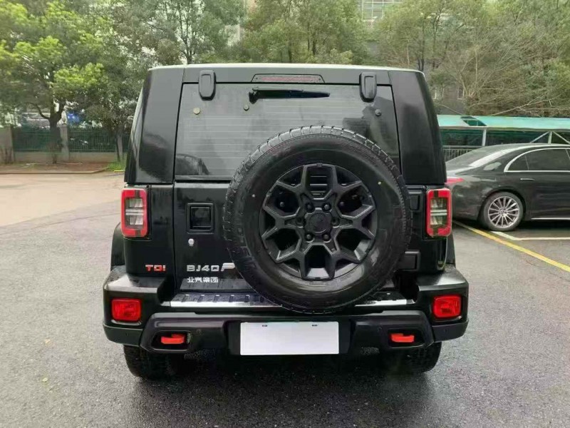 常州24年北京BJ409