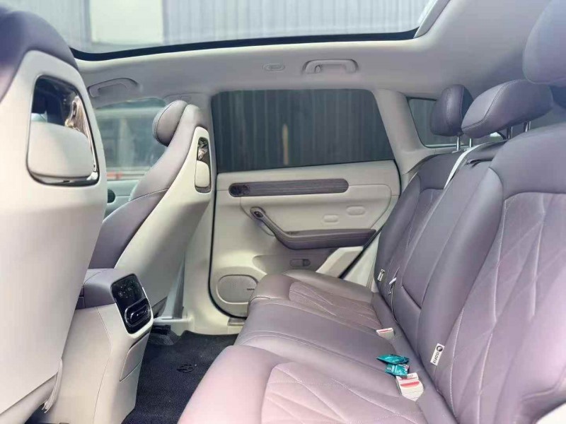 延安25年零跑汽车C114