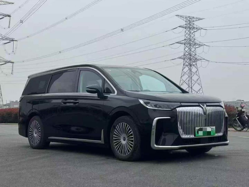 宜昌25年岚图汽车梦想家3