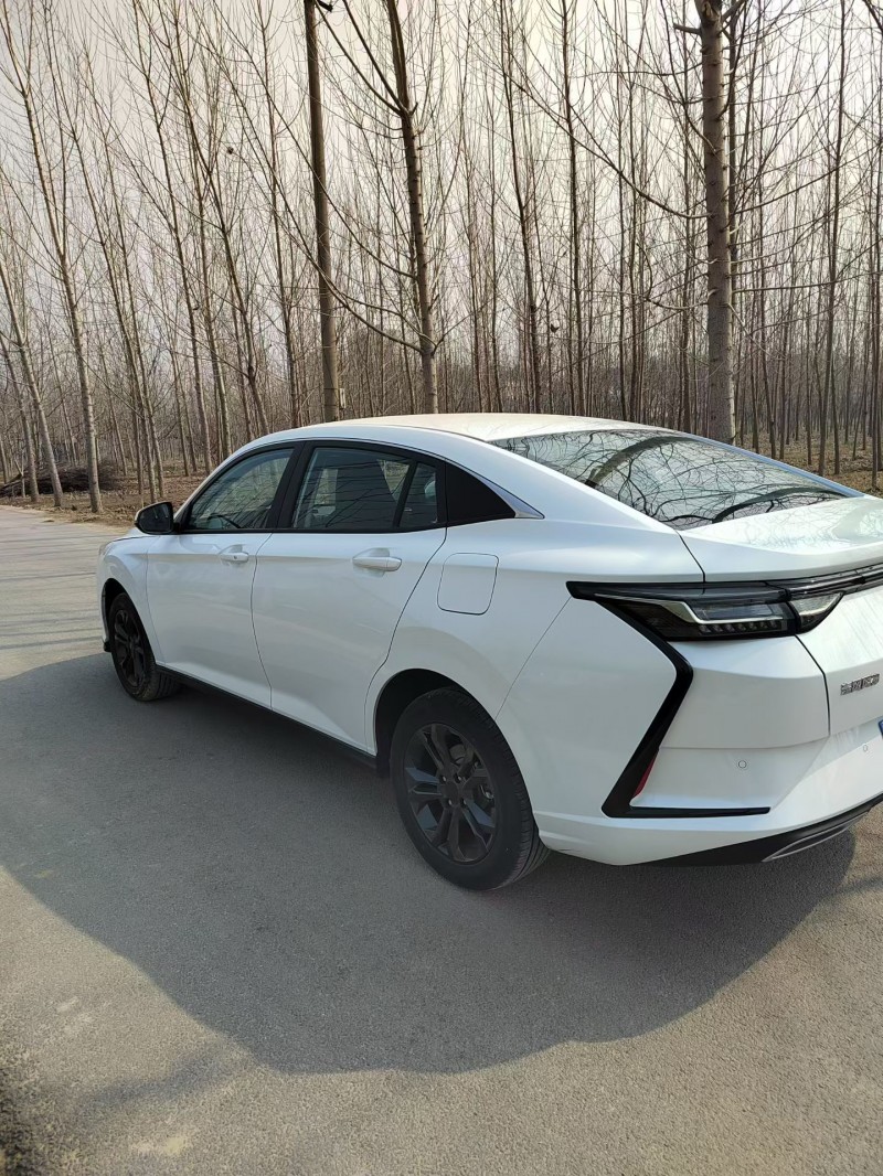 菏泽25年东风奕炫9